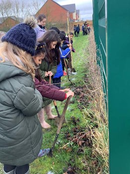 IMG 1088 1